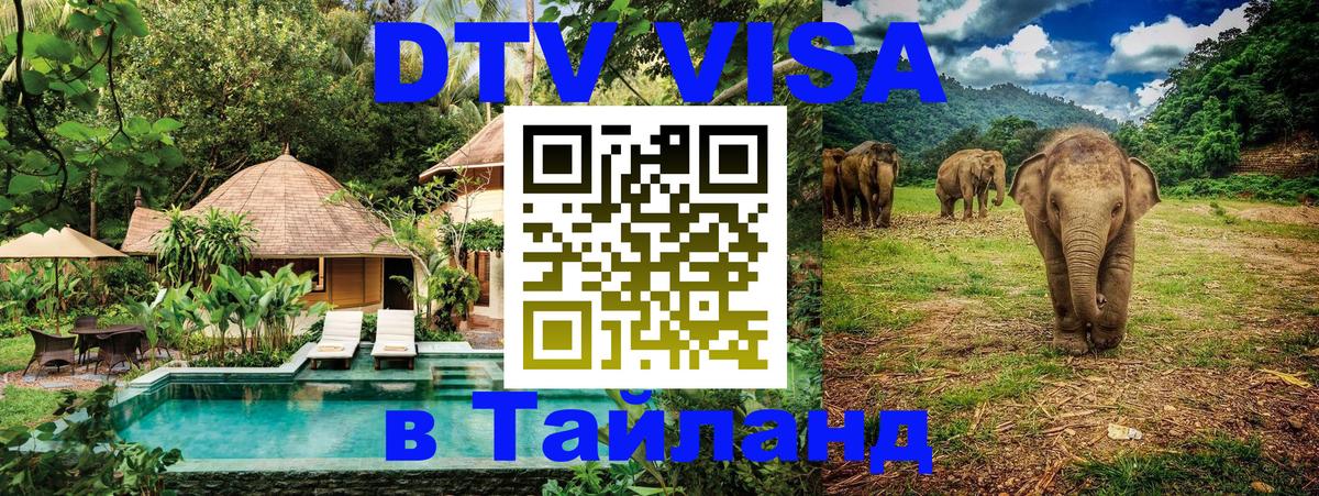 Сколько стоит DTV виза — актуальные цены, оформление даже без документов - Баку  21.11.2025 